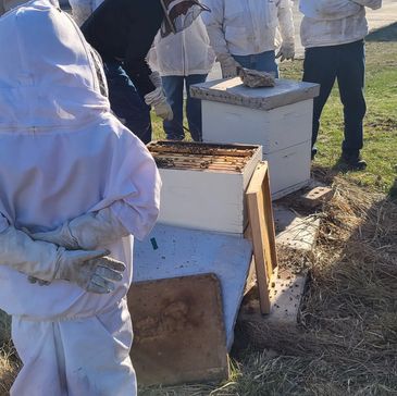 Beekeeper training with our mentorship connections