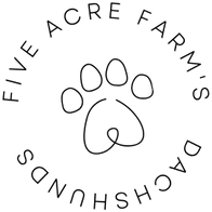 Welcome to Five Acre Farms Dachshunds