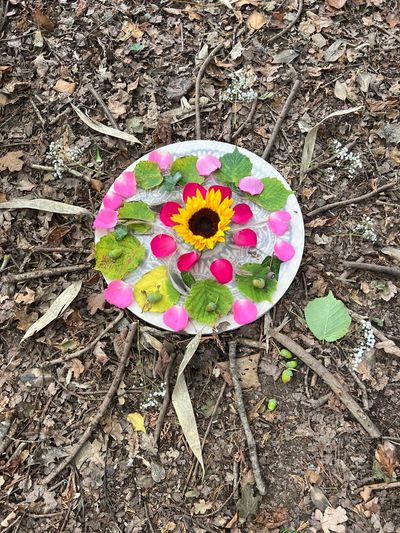 Nature art craft classes for toddlers and children