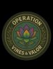Military patch with Operation Vines &amp; Valor emblem.