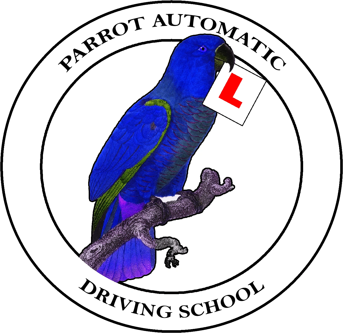 Parrot Automatic Driving School instructor