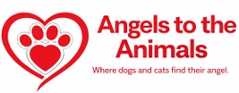 Angels To The Animals