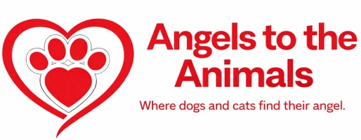 Angels To The Animals