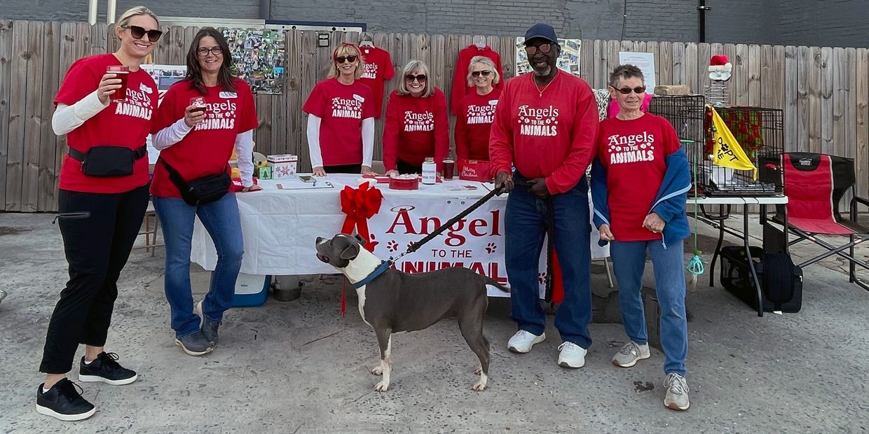 Won't you join the wonderful and fun group of volunteers at Angels to the Animals! 