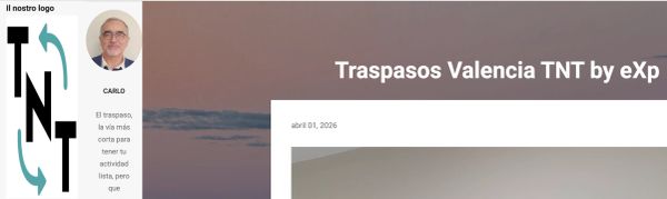 Screenshot of a webpage featuring a logo, a profile picture, and text about Valencia TNT transfers.