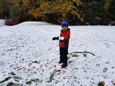 exploring nature at Natural Start Preschool in Bellevue WA