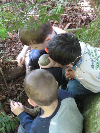 preschool children playing with rocks and sticks at Natural Start Preschool in Bellevue WA