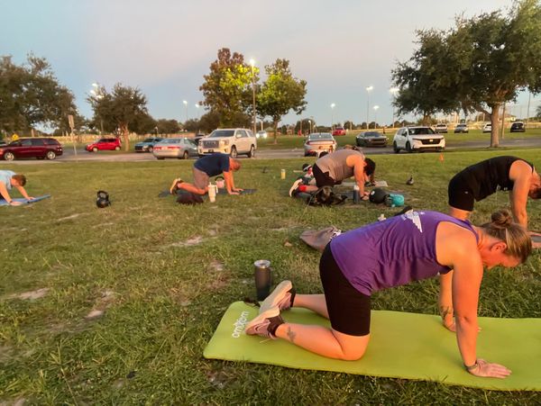 Group exercise session on mats in a park during sunset.