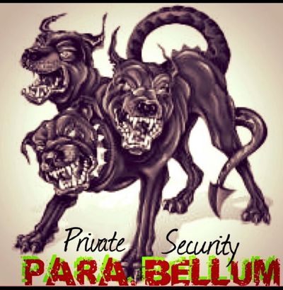 Parabellum- Armed security, Notary Process server