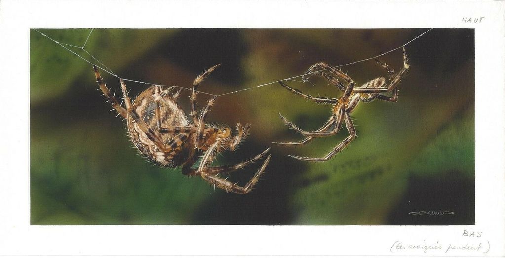 SPIDERS ON WEB PAINTING
