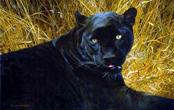 Black Sphinx – Black Panther, (1993) A/P#1/76 Black Sphinx – Black Panther, (1993) A/P#1/76
