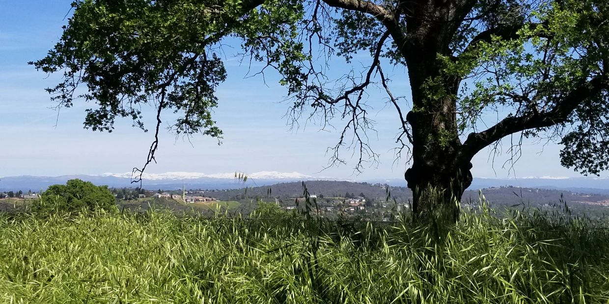 Viewing the Sierra Nevada snowpack from our El Dorado Hills Water treatment plant.