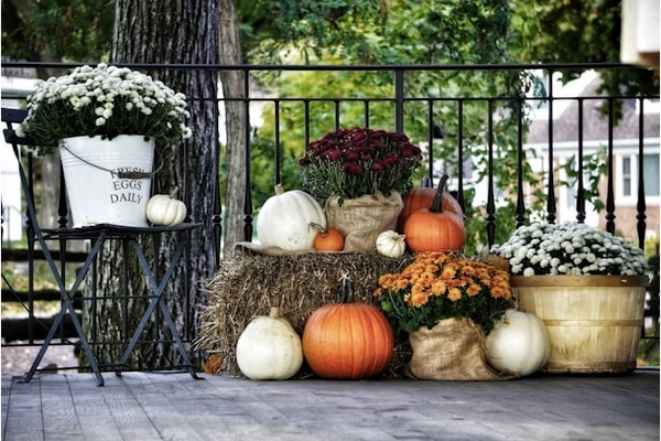 Autumn display with pumpkins, white chrysanthemums, and hay bales on a porch.
