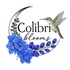 Colibri Blooms