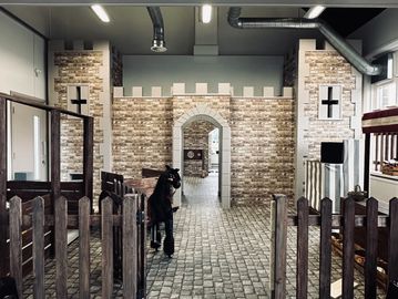 Indoor play area designed like a medieval castle with toy horse and wooden fence.