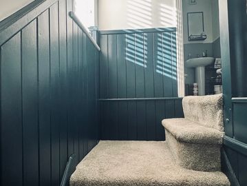 Carpeted stairs with blue panel walls and sunlight through window blinds.
