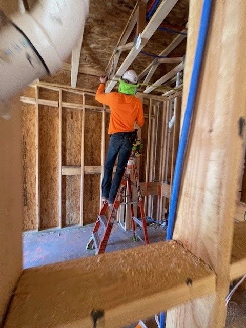 Employee on ladder.jpg