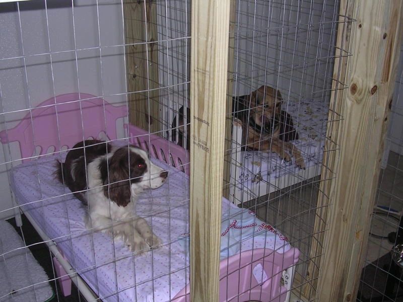 DSCN3859.jpg