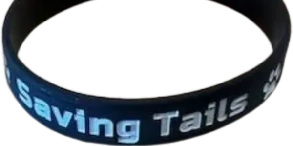 Who wants a cool new bracelet to support your favorite non-profit?
