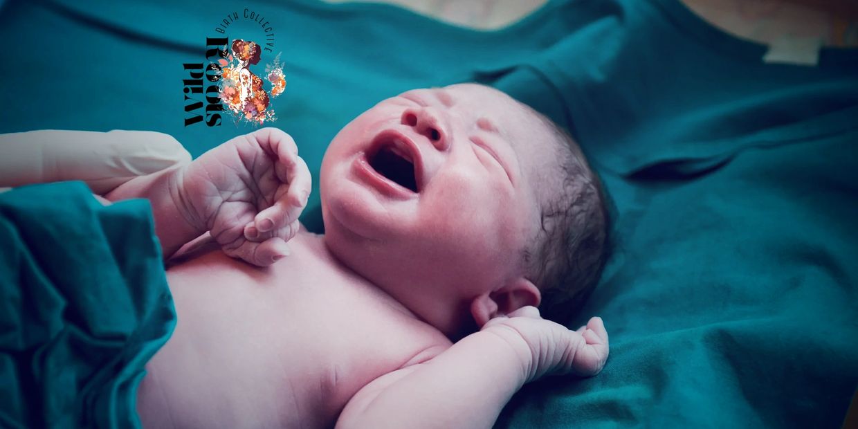 Find a Doula near me
Find a birth doula Festus, MO
Find a doula, De soto, MO
Birth doula, Desoto, Mo