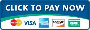Blue button with payment options: MasterCard, Visa, American Express, Discover, Debit Cards.