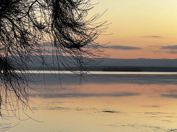 Sunset over a calm lake with silhouetted tree branches.