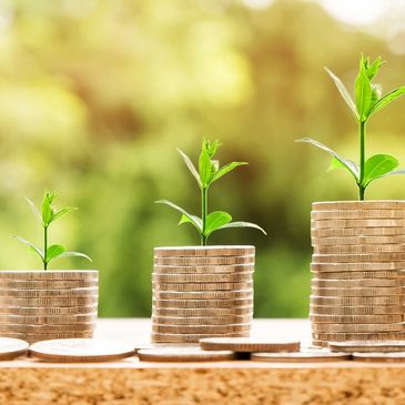 Money and growth