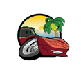 Caribbean Import Auto Sales, LLC