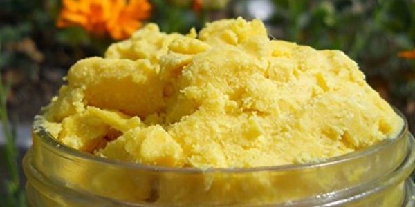 Shea, Mango, Cocoa, and Kokum pure, vegan butters