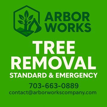 tree removal