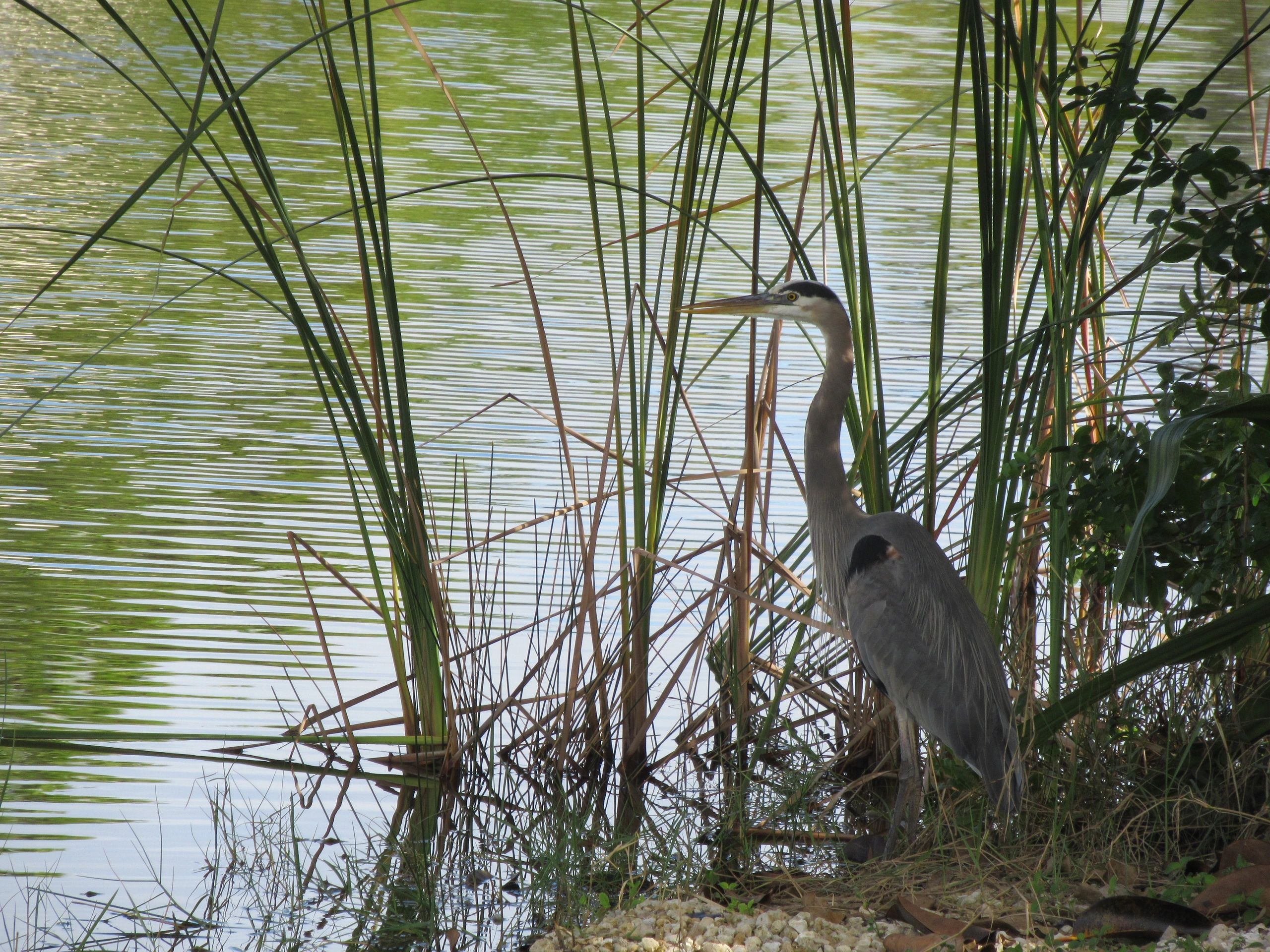 Real Estate Update July 18, 2022