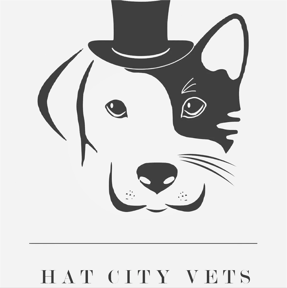 Black and white logo of a dog and cat wearing a top hat.