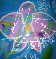 I Am Wildbird