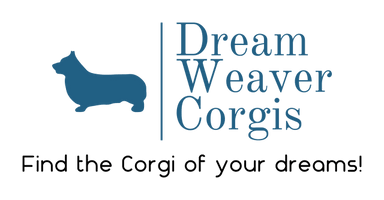 Dream Weaver Corgis