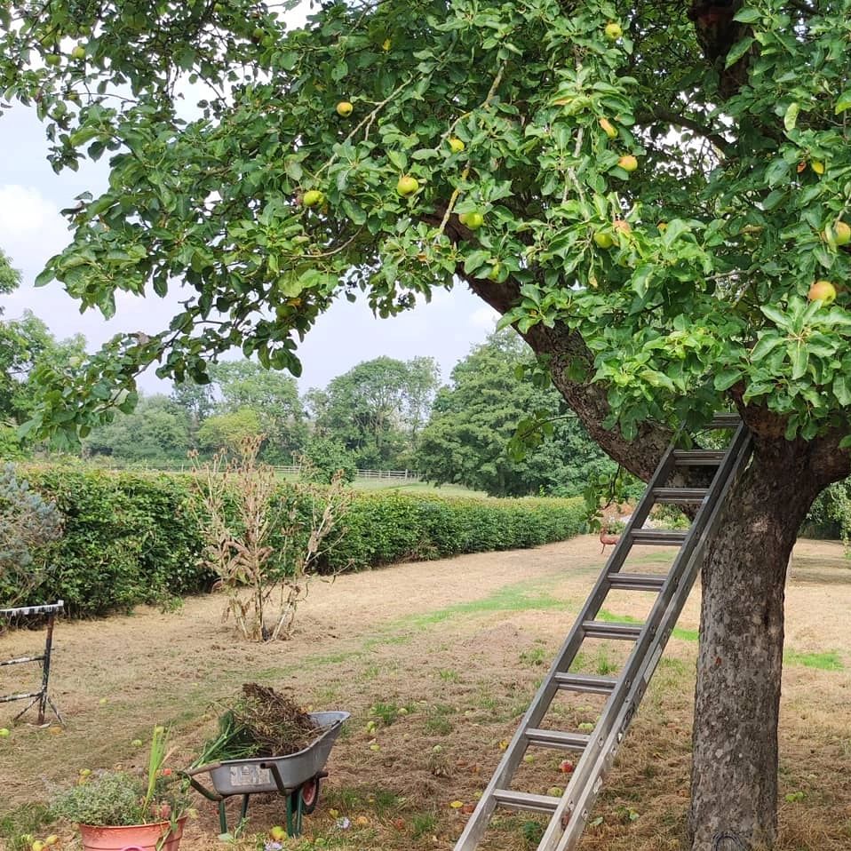 The Orchard at Hawthorn Acupuncture's new clinic coming soon in East Drayton North Notts