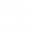 Twin Trees Forestry