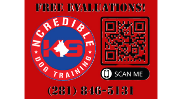 Ncredible K9 Dog Training Academy 
