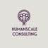 HUMANSCALE CONSULTING