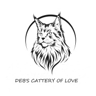 DEB'S CATTERY OF LOVE
