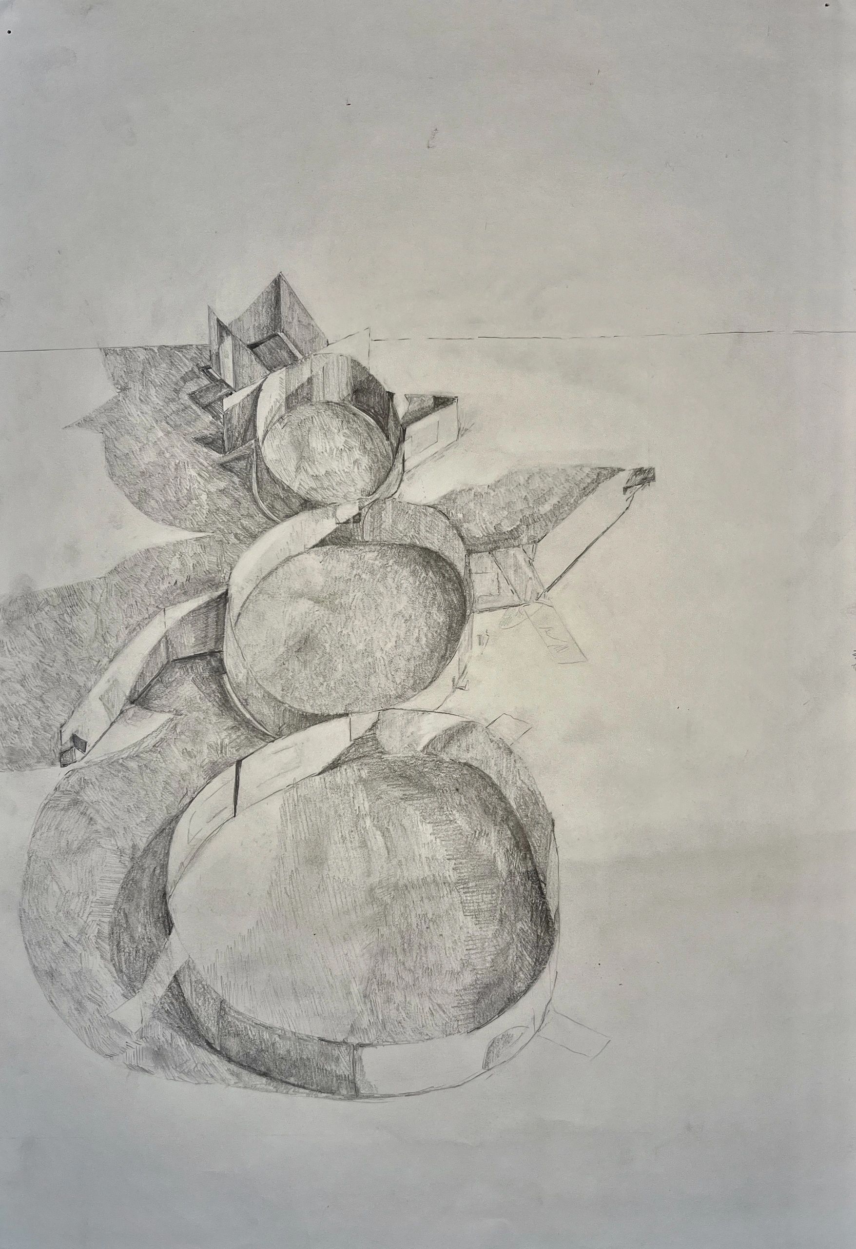Frozen 
2022
Graphite pencil
12"x18"