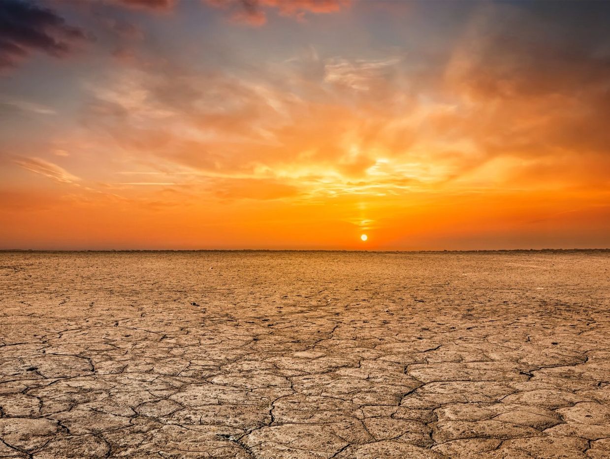 Scorched Earth, Desertification