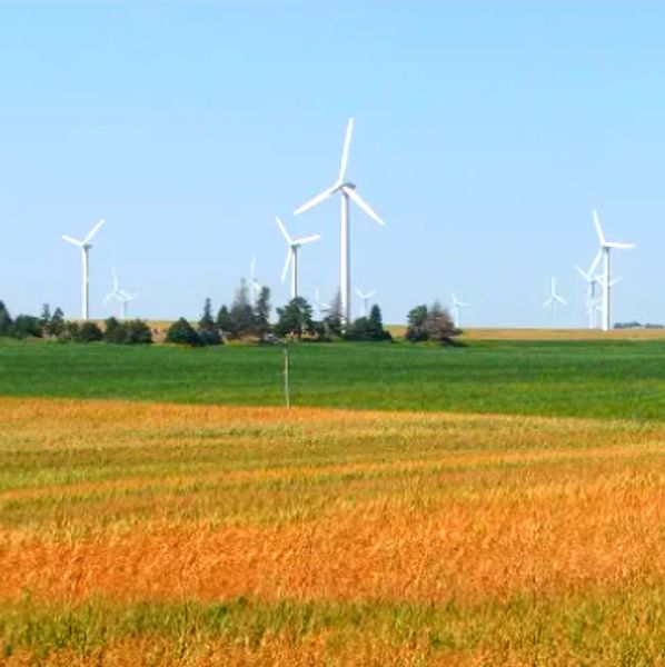 Industrial Wind Farms Are A Horrible Nuisance