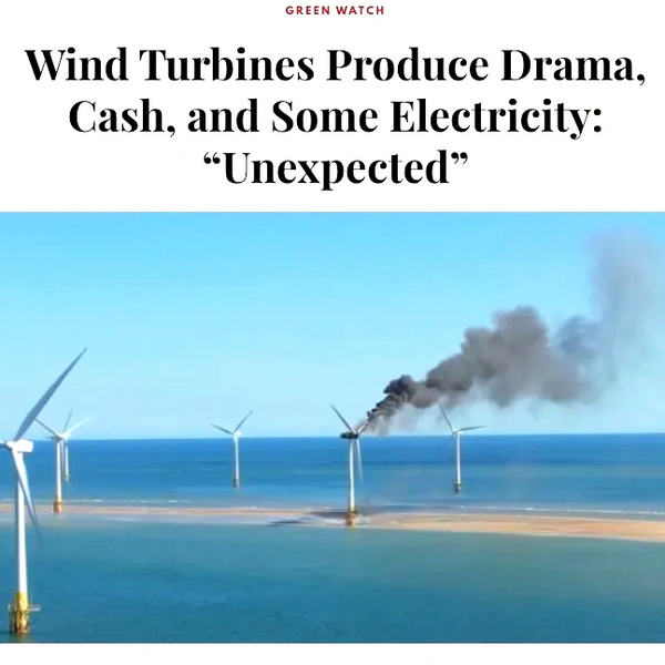 Wind Turbines Produce Drama, Cash, and Some Electricity: “Unexpected”