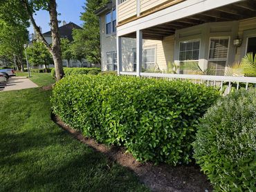 Development Lawn And Landscaping Maintenance Photo