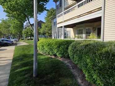 Development Lawn And Landscaping Maintenance Photo