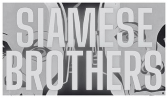 siamesebrothers.com