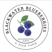 Blackwater Blueberries
