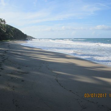 deserted Caribbean sand beach