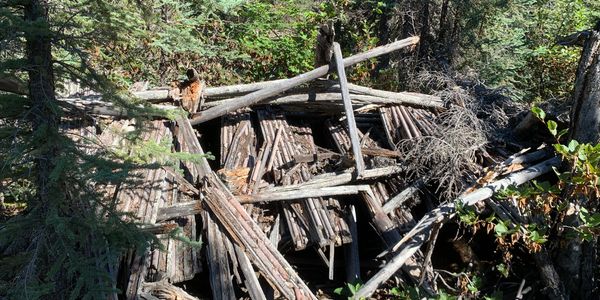 Historical cabin in the forest