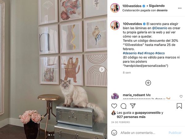 Publicación de Instagram sobre un gato 